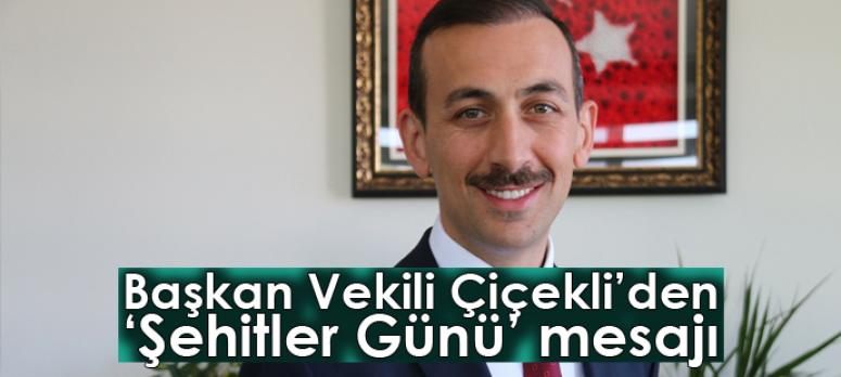 Başkan Vekili Çiçekli