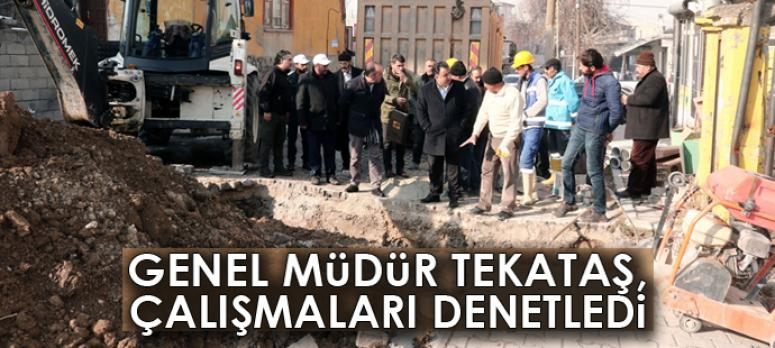 Genel Müdür Tekataş, çalışmaları denetledi