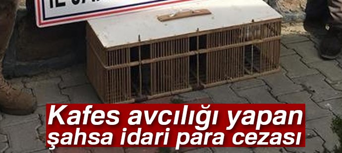 Kafes avcılığı yapan şahsa 3 bin 544 TL idari para cezası kesildi