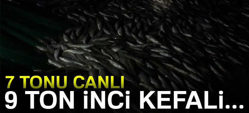 Jandarma, 7 ton canlı olmak üzere 9 ton inci kefali ele geçirdi