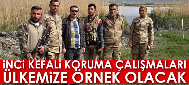 İnci kefali koruma çalışmaları ülkemize örnek olacak