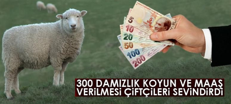 300 damızlık koyun ve maaş verilmesi çiftçileri sevindirdi