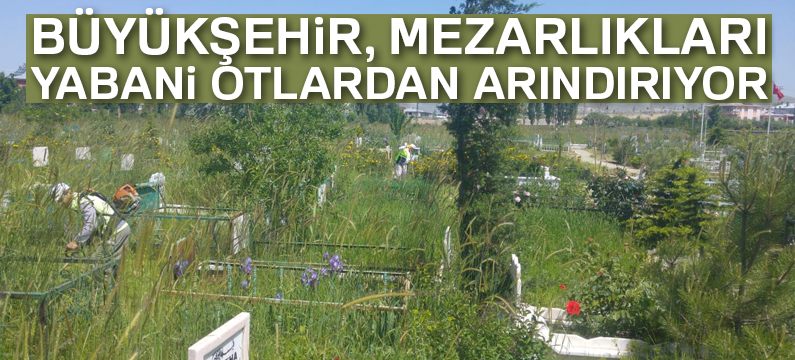 Büyükşehir, mezarlıkları yabani otlardan arındırıyor