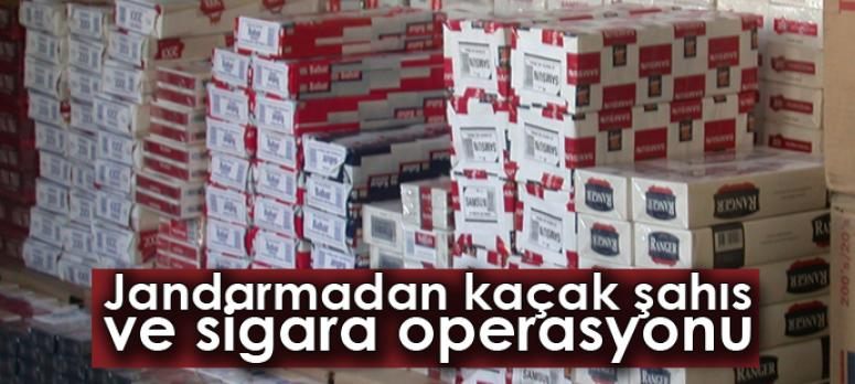 Jandarmadan kaçak şahıs ve sigara operasyonu