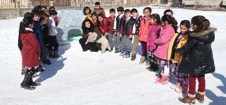 Bin 100 süt kutusundan köpek kulübesi