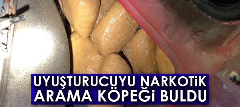 Uyuşturucuyu, narkotik arama köpeği buldu