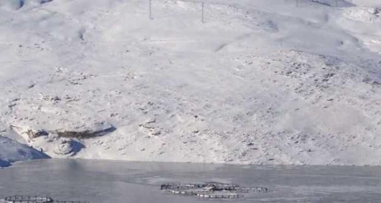 Sibirya soğukları Zernek Barajını dondurdu